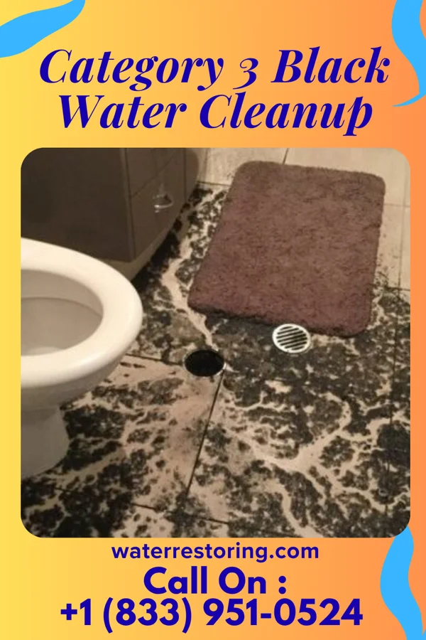 Category 3 Black Water Cleanup in Big Wells, TX