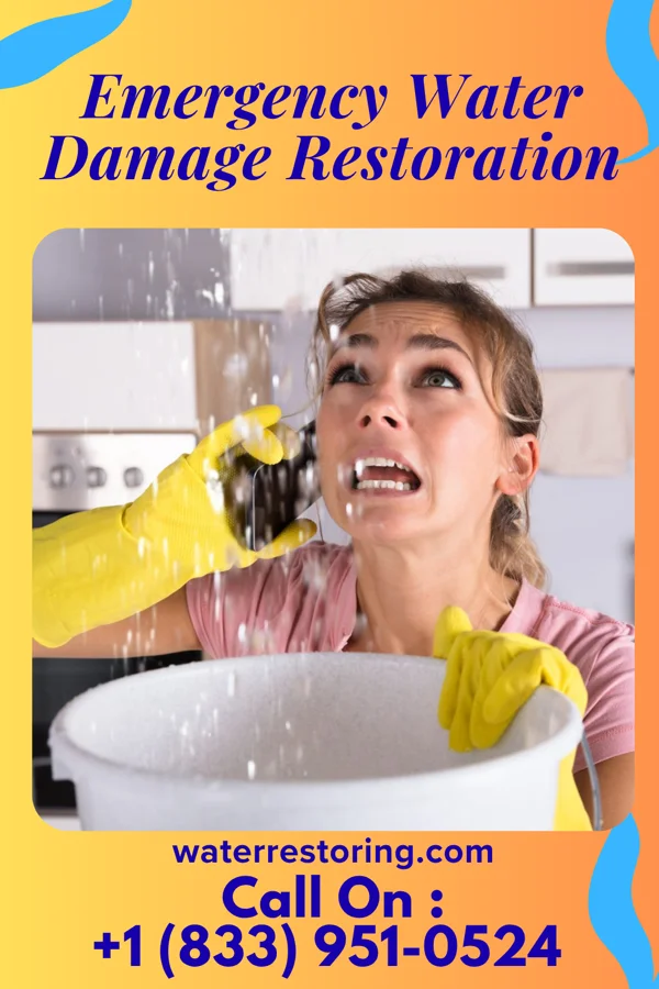 Emergency Water Damage Restoration in Big Wells, TX